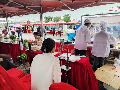 寿县丰收节盛典 农产品展销助力乡村振兴