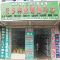 做好苗木批发，源头与供应链管理是关键