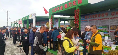 乌拉特前旗第三届中国农民丰收节庆祝活动食品销售盛况