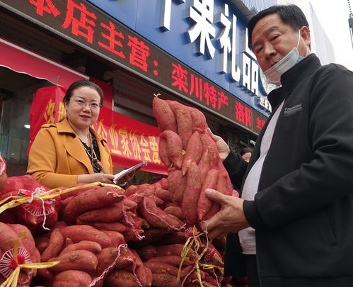 民建洛阳市委西工总支与洛阳中小企业家协会携手开展爱心助农活动，助力农副产品销售