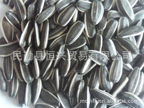 民勤县东湖易发农副产品购销站 优质食品销售新选择