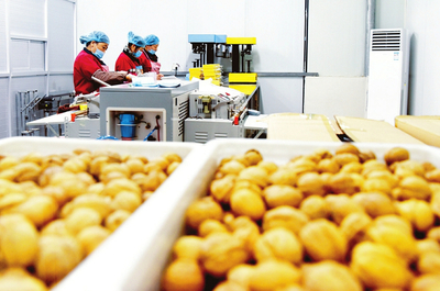 喜迎“两节” 垣曲县精制小米畅销市场